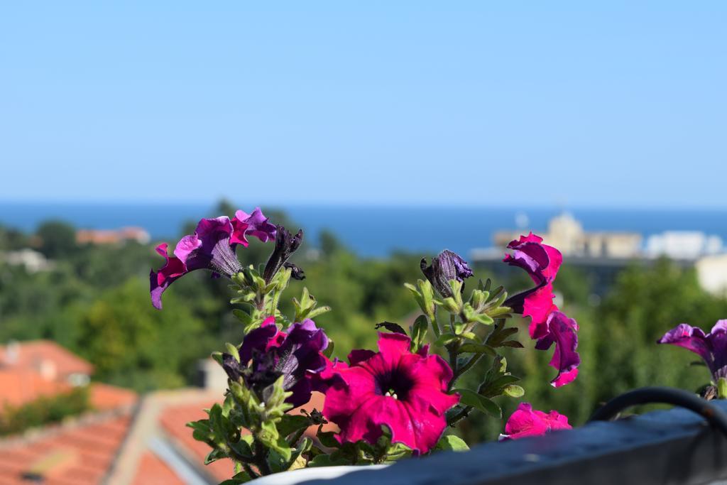 Boutique Villa Rosa Dei Venti Balchik Ngoại thất bức ảnh
