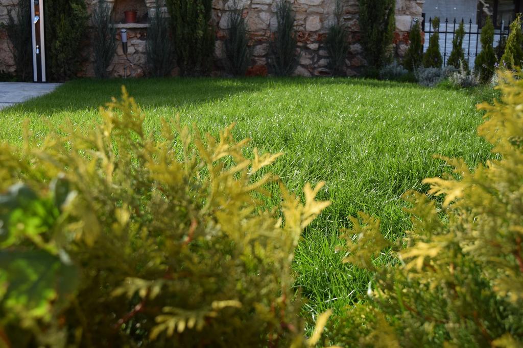 Boutique Villa Rosa Dei Venti Balchik Ngoại thất bức ảnh